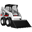 Bobcat