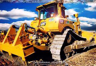 Bulldozer Cat