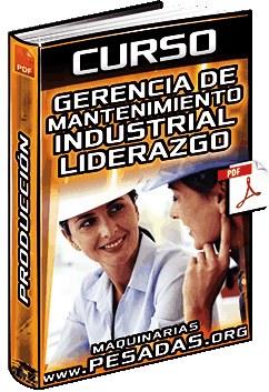 Descargar Curso de Gerencia de Mantenimiento