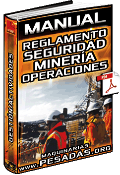 Descargar Manual de Reglamento de Seguridad