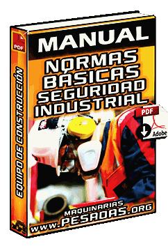 Descargar Manual de Normas Básicas de Seguridad Industrial