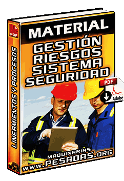 Descargar Gestión de Riesgos y Seguridad